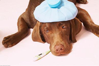 虚幻5引擎打造 “阴间”游戏《僭越：无光之日》公布